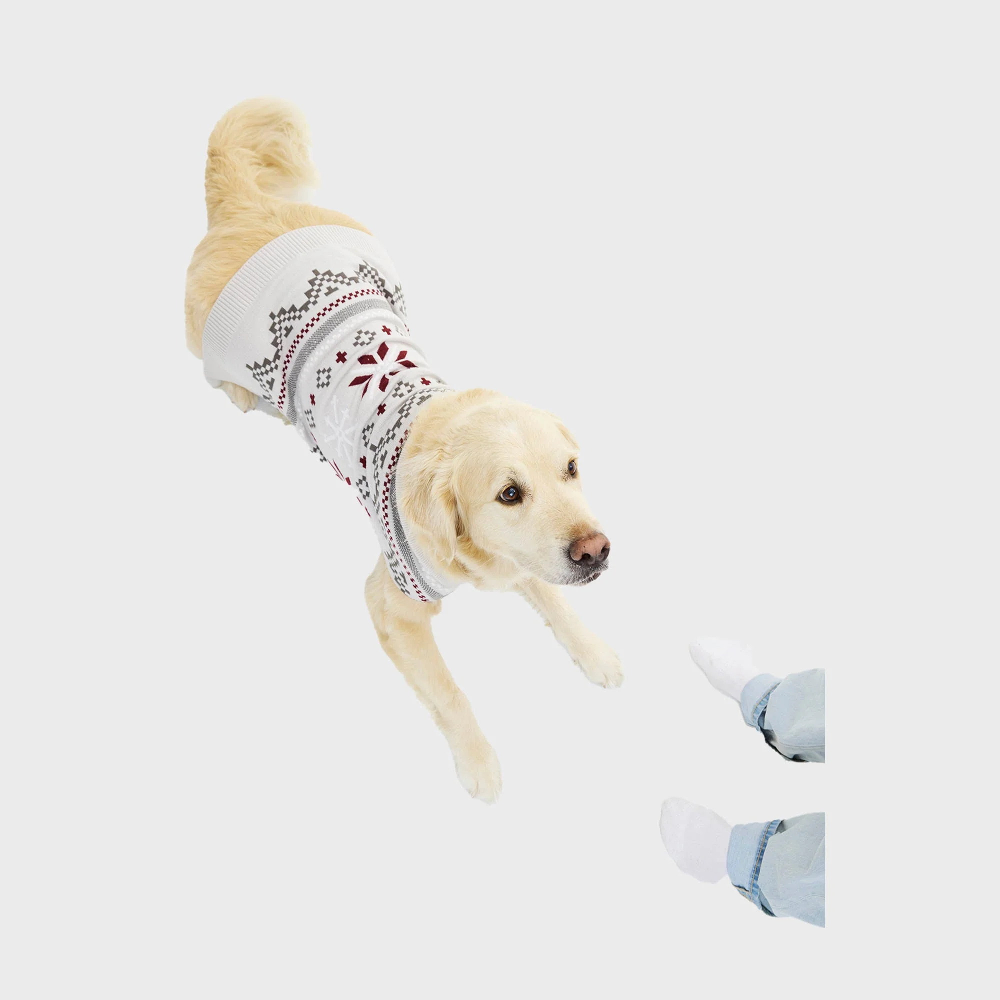 Fancy Hunde-Weihnachtspullover - Image 4